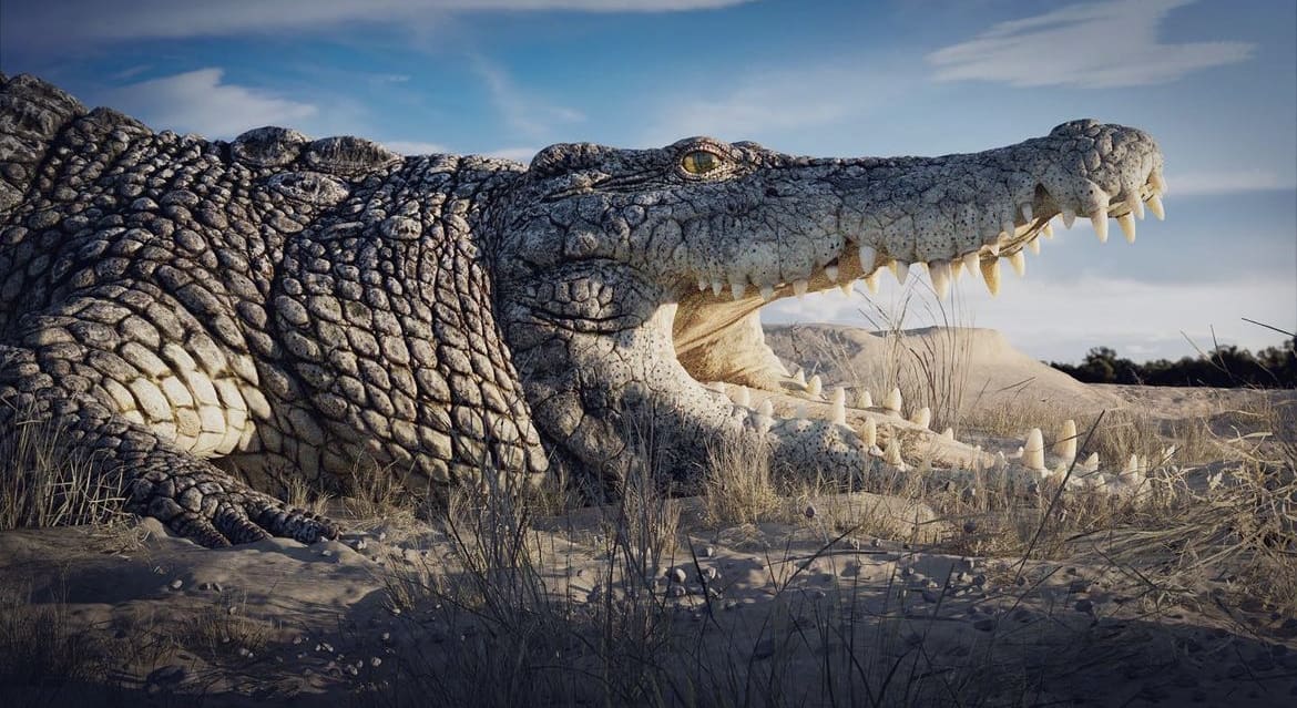 Nile Crocodile closeup